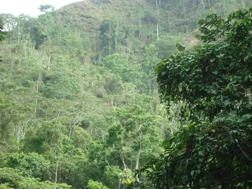 Terreno (Finca) en Venta en Sector Puerto Cruz, Vargas