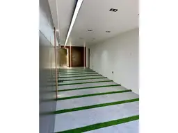 Vista 19