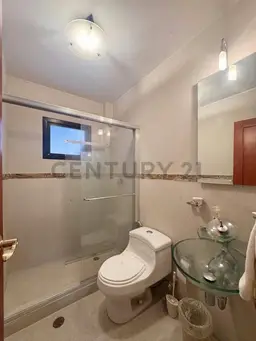 Vista 11