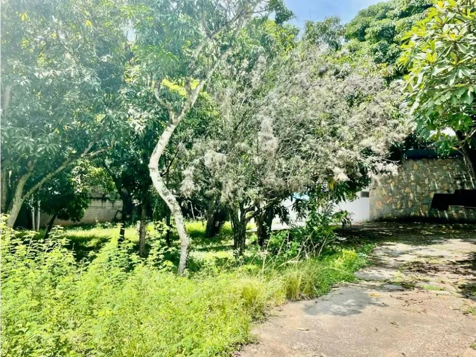 Se vende terreno 6.570m2 Los Chorros - 13