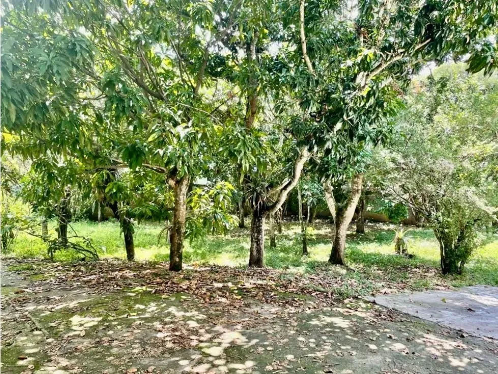 Se vende terreno 6.570m2 Los Chorros - 5