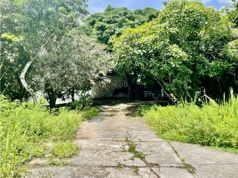 Se vende terreno 6.570m2 Los Chorros - 10