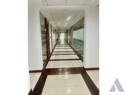 Vista 5