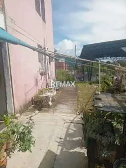 Vista 6