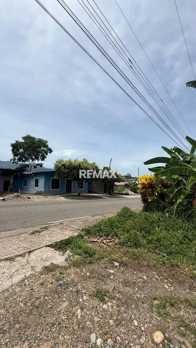 Venta de Casa de Campo con Terreno* *Ubicada* en La vía principal de Piedra de Moler en Las Mesas Mcpio Antonio Rómulo Costa. - 2
