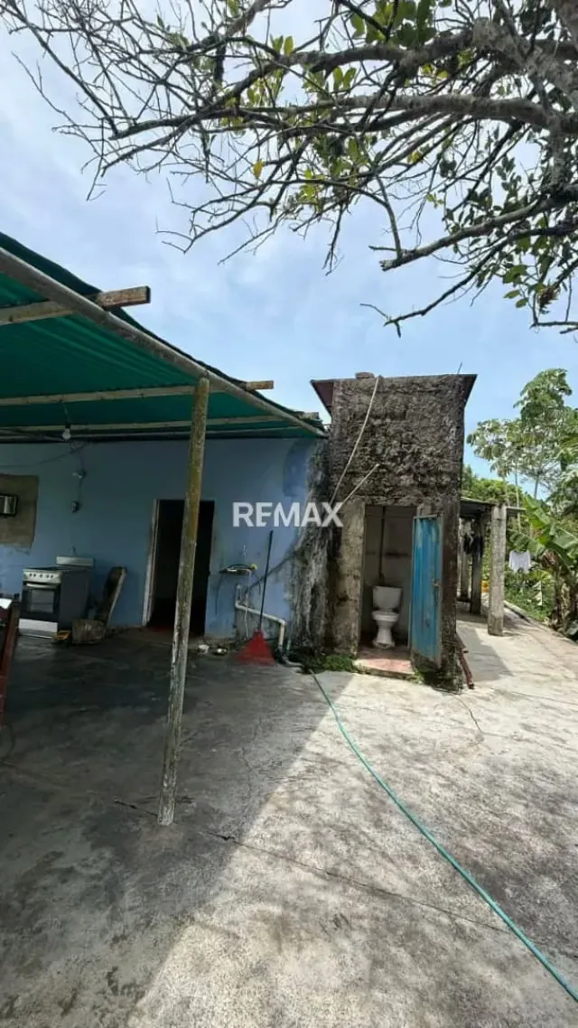Venta de Casa de Campo con Terreno* *Ubicada* en La vía principal de Piedra de Moler en Las Mesas Mcpio Antonio Rómulo Costa. - 7