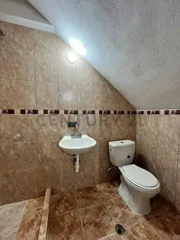 Vista 7