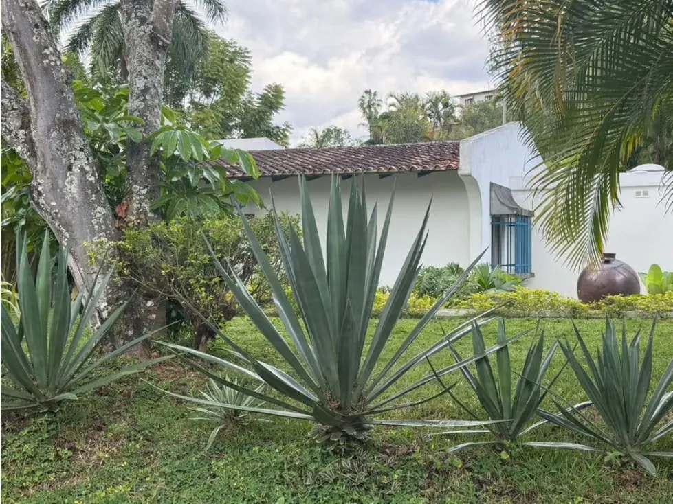 Vendo casa 500m2 Cerro Verde 7544 - 4