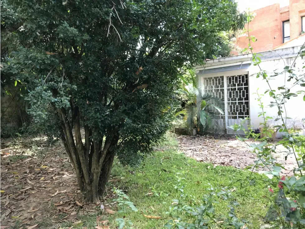 Se vende casa 350m2 Altamira 3625 - 6