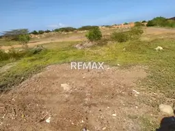 View 7