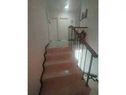 View 15