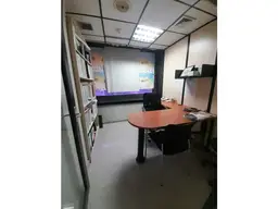 Vista 15