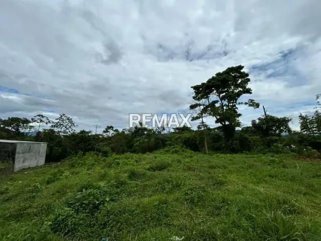 En Venta Terreno en Santa Ana del Táchira - 2