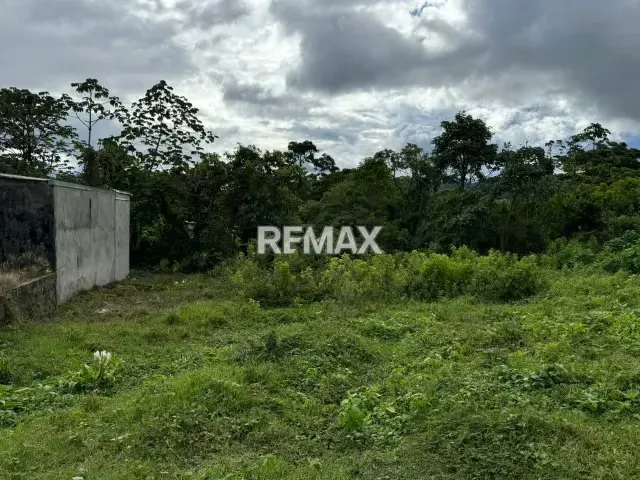En Venta Terreno en Santa Ana del Táchira - 3