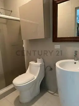View 15