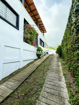 View 5