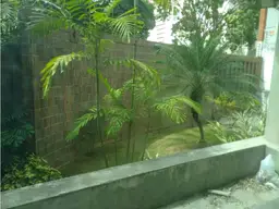 Vista 4