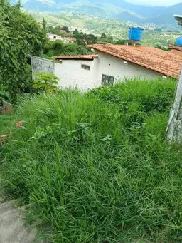 Vista 2