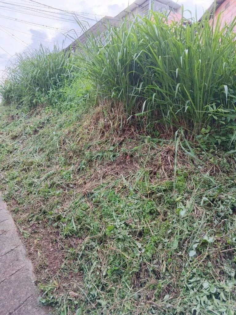 TERRENO EN VENTA EN TÁRIBA – CARRERA 13 - 4