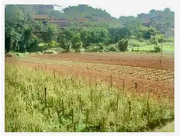 Vista 6