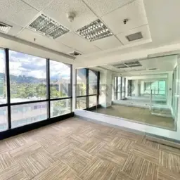 Vista 5