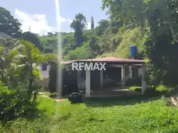 Vista 4