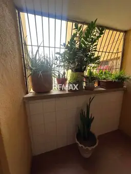 Vista 3
