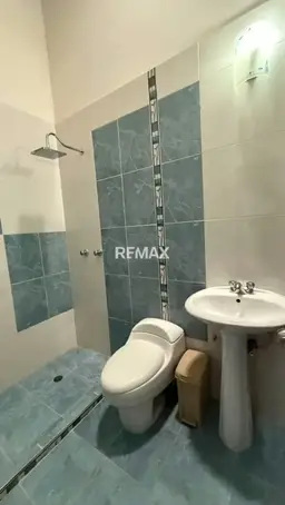 Vista 4