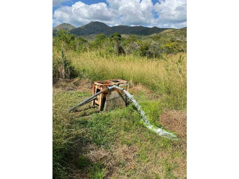 FINCA GRANJA, CAPACIDAD 10.000 AVES EN TINAQUILLO, LUZ TRIFASICA, POZO - 11