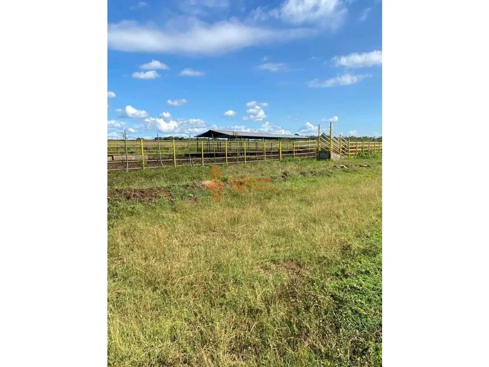 FINCA GRANJA, CAPACIDAD 10.000 AVES EN TINAQUILLO, LUZ TRIFASICA, POZO - 12