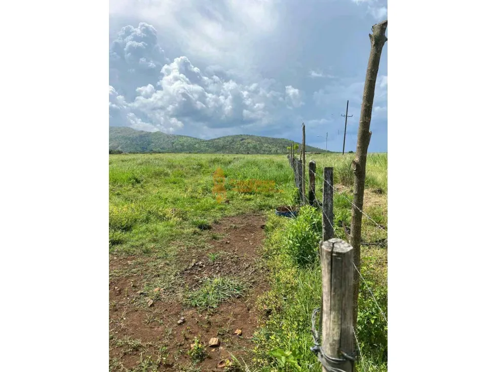 FINCA GRANJA, CAPACIDAD 10.000 AVES EN TINAQUILLO, LUZ TRIFASICA, POZO - 14