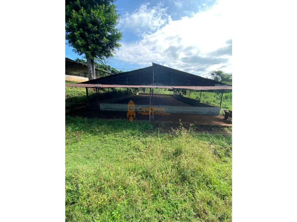 FINCA GRANJA, CAPACIDAD 10.000 AVES EN TINAQUILLO, LUZ TRIFASICA, POZO - 4