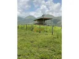 View 5