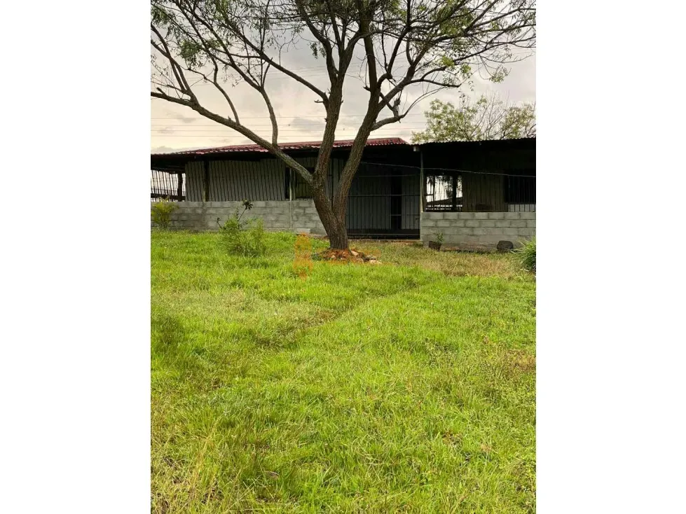FINCA GRANJA, CAPACIDAD 10.000 AVES EN TINAQUILLO, LUZ TRIFASICA, POZO - 7