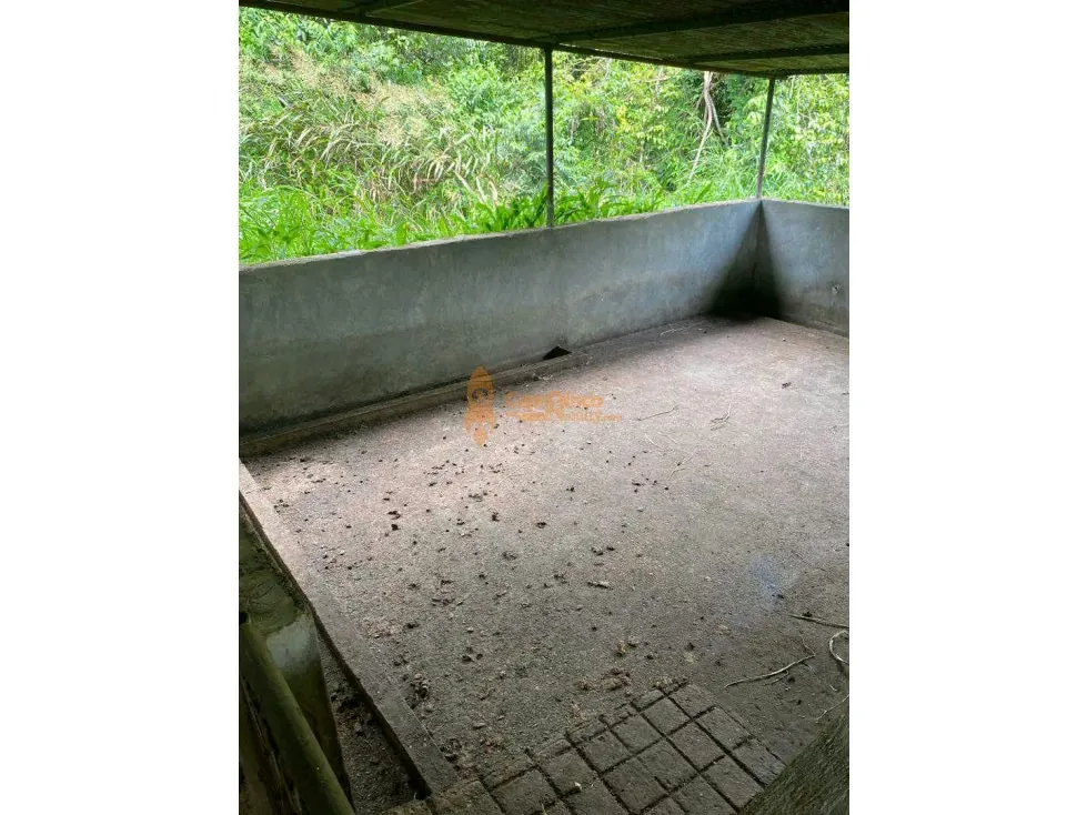 FINCA GRANJA, CAPACIDAD 10.000 AVES EN TINAQUILLO, LUZ TRIFASICA, POZO - 8