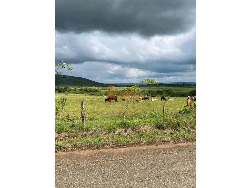 FINCA GRANJA, CAPACIDAD 10.000 AVES EN TINAQUILLO, LUZ TRIFASICA, POZO - 10