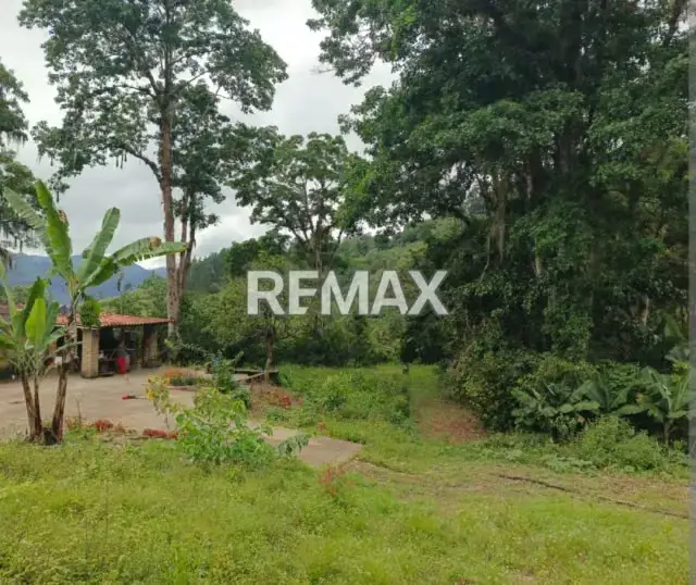 SE VENDE TERRENO EN PREGONERO