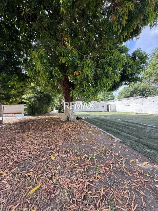 VENTA TERRENO CON BIENHECHURIAS - Las Acacias Valencia - 6