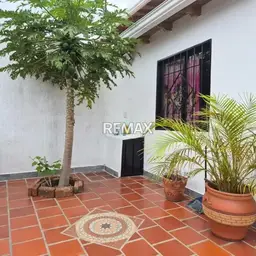Vista 11