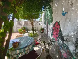 View 12
