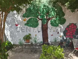 View 32