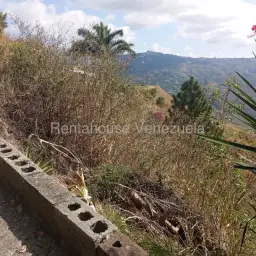 Vista 11