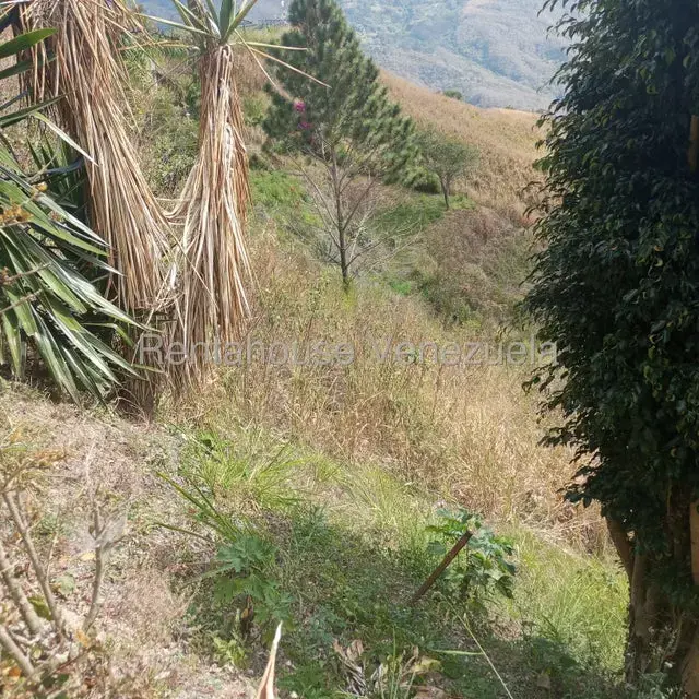 Terreno (Residencial) en Venta en Caicaguana, Distrito Metropolitano - 12