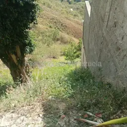 Vista 9