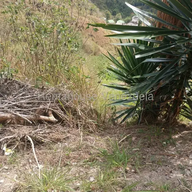 Terreno (Residencial) en Venta en Caicaguana, Distrito Metropolitano - 10