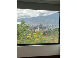 Vista 6