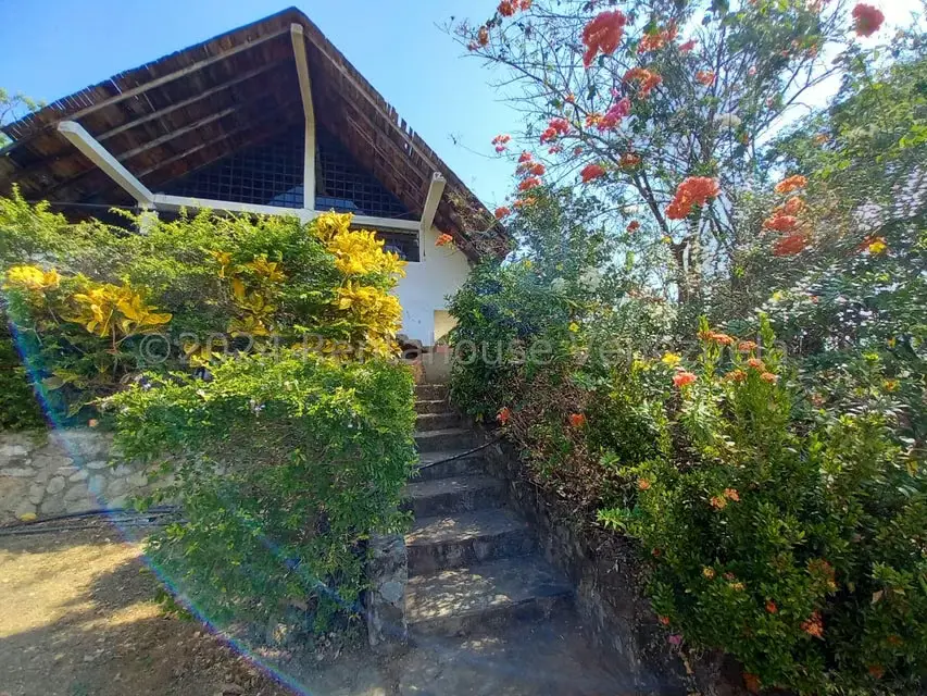 Casa (Finca) en Venta en Distrito San Casimiro, Aragua - 2