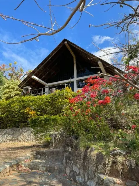Casa (Finca) en Venta en Distrito San Casimiro, Aragua - 35