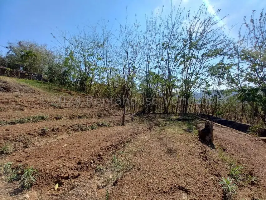 Casa (Finca) en Venta en Distrito San Casimiro, Aragua - 39