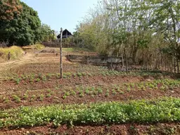 View 40
